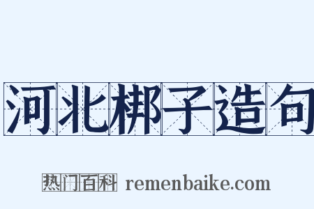河北梆子造句是什么意思的图片